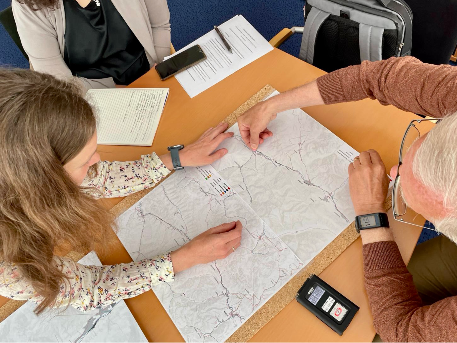 Participatory mapping